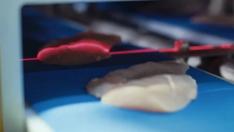 Poultry processing line. Pieces of poultry meat in the production process. Stock Footage 203926132