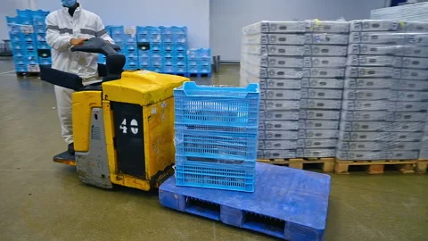 Poultry processing plant line. Indoor view of food processing factory Vidéo 159156391