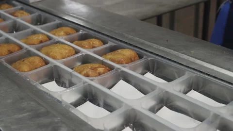 Poultry processing plant line. Production of chicken meat. Workers packing Vídeo Stock 155084029