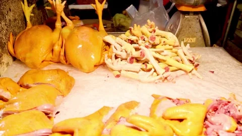 Poultry Processing in Stages Stock Footage 281227833