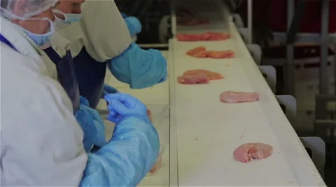 Poultry production process in slaughterhouse Stock Footage 56174869
