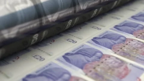 POUND 1 Stock Footage 133576274