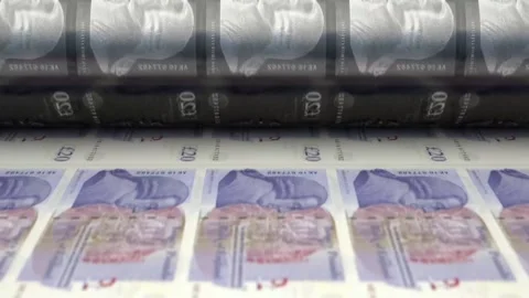 POUND 2 Stock Footage 133576282