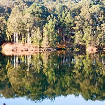 The pound lake and   tree reflection in water 스톡 사진