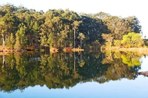 The pound lake and   tree reflection in water 스톡 사진