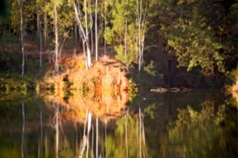 The pound lake and   tree reflection in water 库存照片