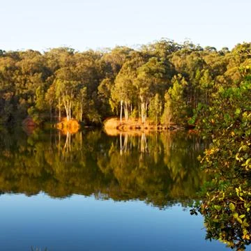The pound lake and   tree reflection in water 스톡 사진
