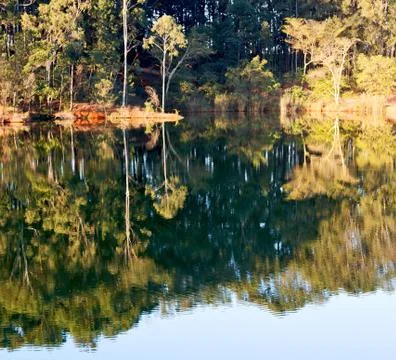 The pound lake and   tree reflection in water 写真素材