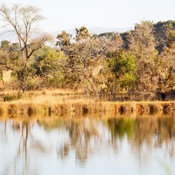 The pound lake and   tree reflection in water 스톡 사진