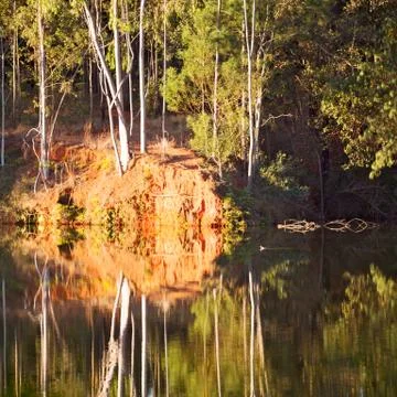 The pound lake and   tree reflection in water 스톡 사진