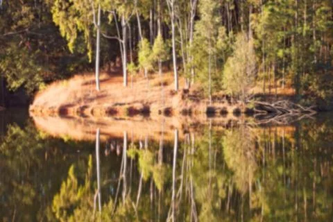 The pound lake and   tree reflection in water 库存照片