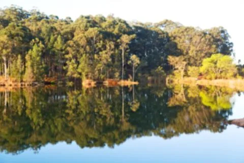 The pound lake and   tree reflection in water 스톡 사진