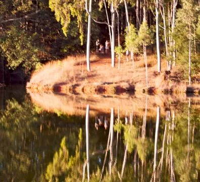 The pound lake and   tree reflection in water 스톡 사진