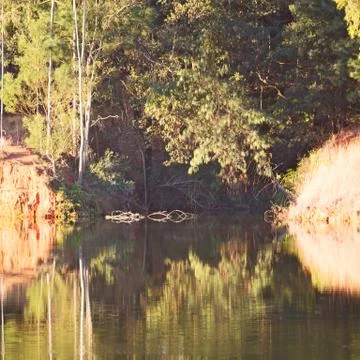 The pound lake and   tree reflection in water 库存照片
