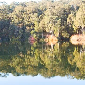 The pound lake and   tree reflection in water 스톡 사진