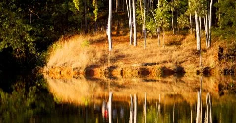 The pound lake and   tree reflection in water Foto stock