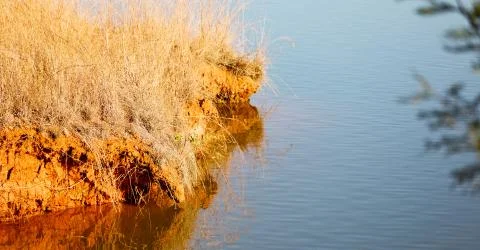 The pound lake and   tree reflection in water 库存照片