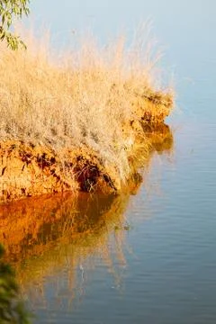 The pound lake and   tree reflection in water 스톡 사진