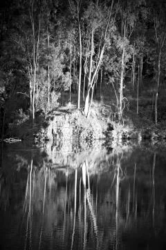The pound lake and   tree reflection in water 스톡 사진