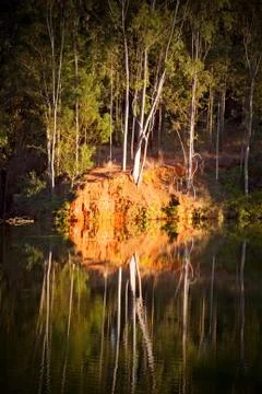 The pound lake and   tree reflection in water 스톡 사진