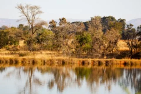 The pound lake and   tree reflection in water 库存照片