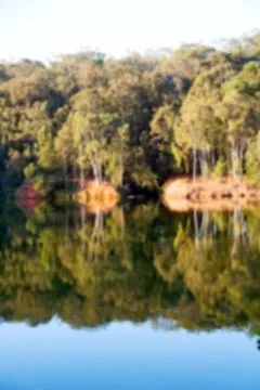 The pound lake and   tree reflection in water 스톡 사진