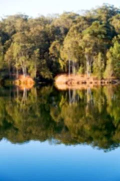 The pound lake and   tree reflection in water Foto stock