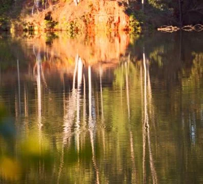 The pound lake and   tree reflection in water 库存照片