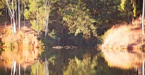 The pound lake and   tree reflection in water 写真素材
