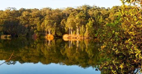 The pound lake and   tree reflection in water 库存照片
