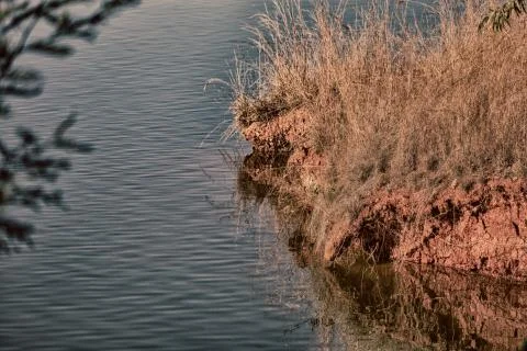 The pound lake and   tree reflection in water 스톡 사진