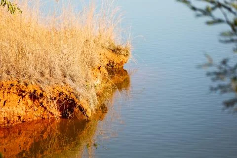 The pound lake and   tree reflection in water 스톡 사진