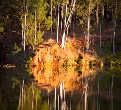 The pound lake and   tree reflection in water 스톡 사진