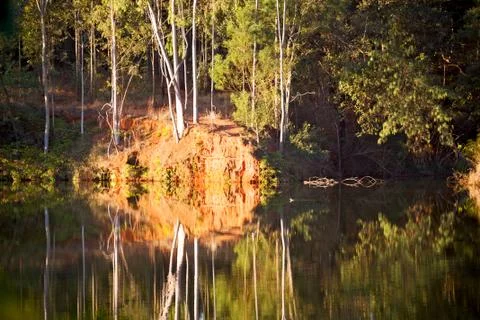The pound lake and   tree reflection in water 库存照片