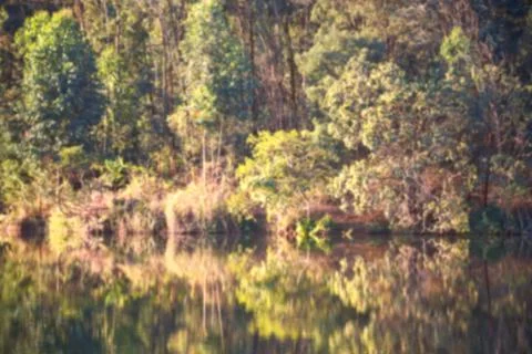 The pound lake and    tree reflection in water 스톡 사진