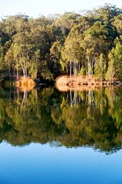 The pound lake and   tree reflection in water 스톡 사진