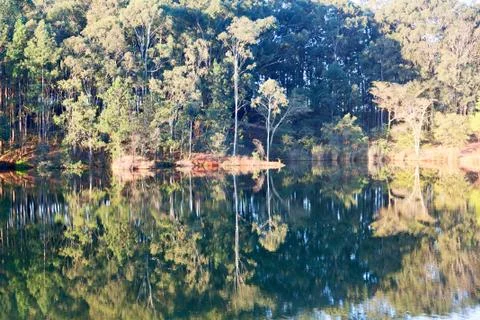 The pound lake and   tree reflection in water 스톡 사진