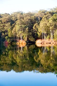 The pound lake and   tree reflection in water 스톡 사진