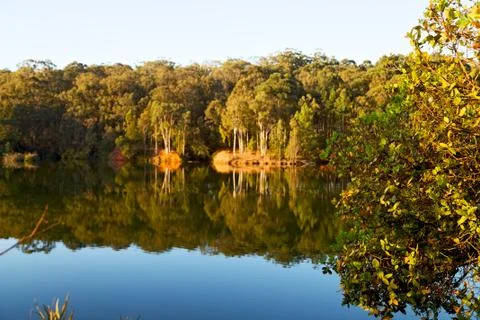 The pound lake and   tree reflection in water 库存照片