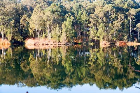 The pound lake and   tree reflection in water Foto stock