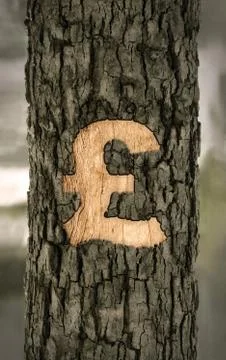Pound sign on the bark Stock Illustration