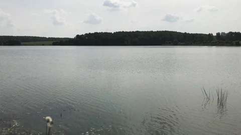 Pound summer Video stock 119640606