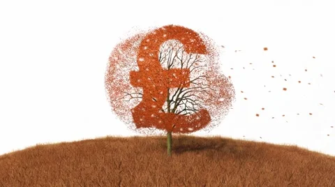 Pound symbol in a tree, falling leaves Stock Footage 43736487