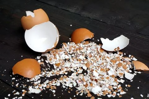 Pounded eggshells can be used as fertilizer. Stock Photos