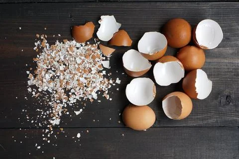 Pounded eggshells can be used as fertilizer. Stock Photos