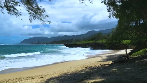 Pounders Stock Footage 167242628