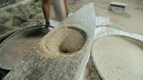 Pounding paddy rice traditionally Close Up, Pounding paddy rice  traditional Stock Footage 165163806