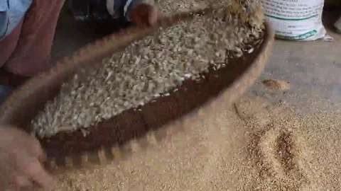 Pounding rice recipe of the nation Stock Footage 69187643
