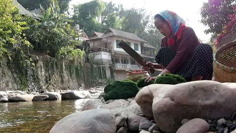 Pounding river weed, moss, for cooking Stock Footage 158901075