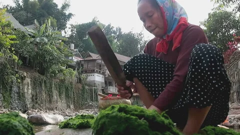 Pounding river weed, moss, for cooking Stock Footage 158901077